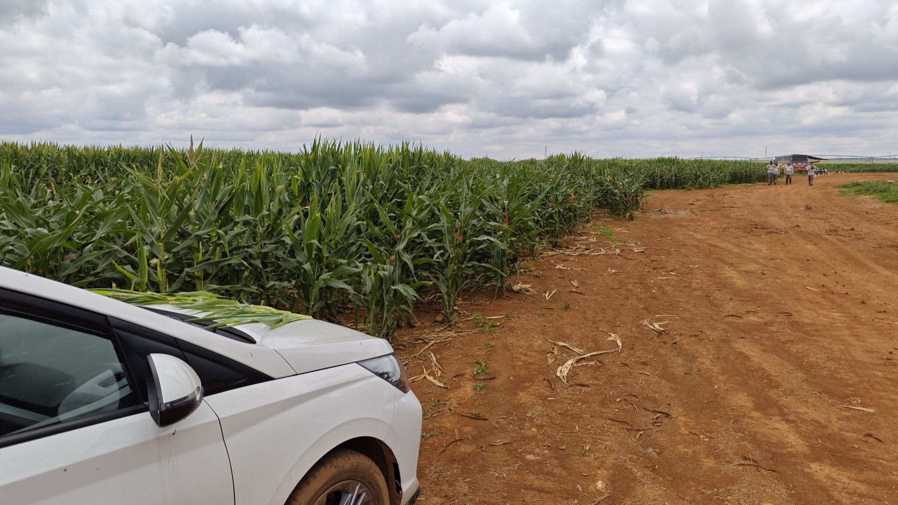 Operação de campo no Brasil